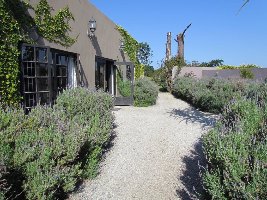 Plett River Lodge Plettenberg Bay Exterior foto